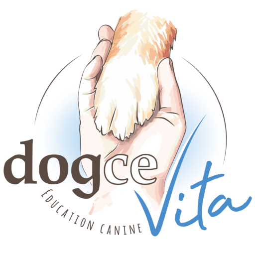 cropped-cropped-DogceVita_coul-pos-1.png